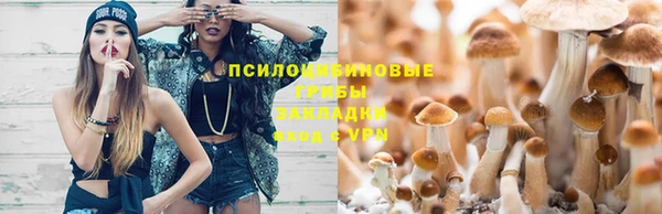 экстази Елизово