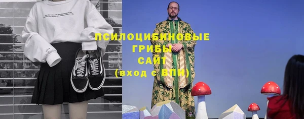 СК Дмитриев
