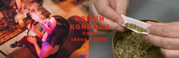 ГАЛЛЮЦИНОГЕННЫЕ ГРИБЫ Дмитровск