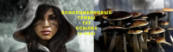 СК Дмитриев