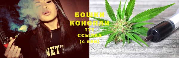 стаф Елабуга